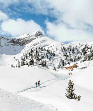 Traumhaft schöne Lage - die Rossalm am Fuße der Roten Wand