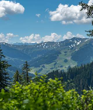 Ausblick vom Maisereck ins Glemmtal