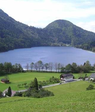 Blick auf den Lunzer See