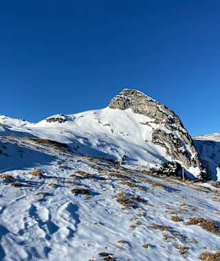 Margelchopf Isisizgrat