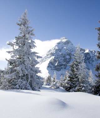 Maria Waldrast Jöchl