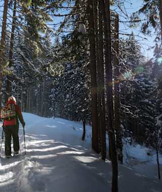 Symbolbild Winterwandern