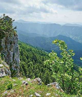 Die Rote Wand im Grazer Bergland