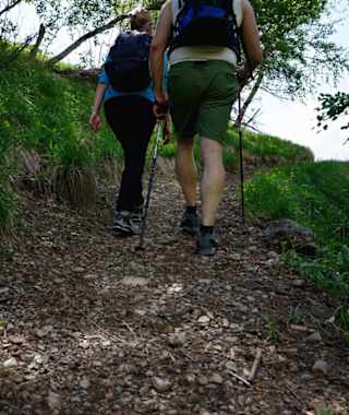 Von Kammerland auf dem unteren Wiesenweg