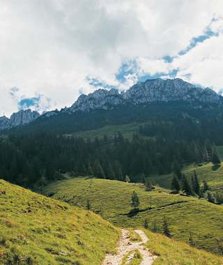 Blick auf die Kampenwand.
