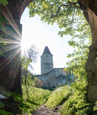 Am Meilensteinweg – das Burgtor Seebenstein