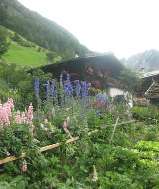 Mitterkaser-Alm im Pfossental