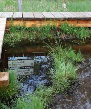 Moorlehrpfad – Kleiner Rundweg