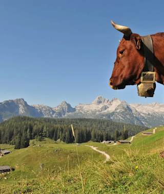 Mordaualm Almerlebnisweg