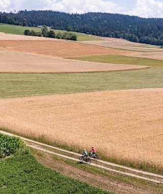 Mountainbiken im Mühlviertler Granitland