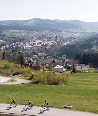 Mountainbiken in Haslach an der Mühl