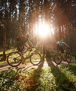 Die Etappe führt auf Forstwegen durch Neufeld.