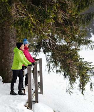 Rund um den Mummelsee