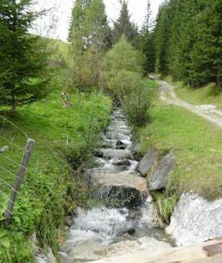 Munter sprudelndes Wasser des Kirchheimer Wildbachs - St. Oswalder Bach