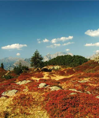 Auf dem Weg zum Muttjoechle