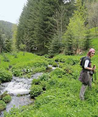 Vom Kropfbach ist es nicht mehr weit zum Jägerhof Kropfmühle.