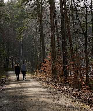 Langenhennersdorf Weg zum Labyrinth