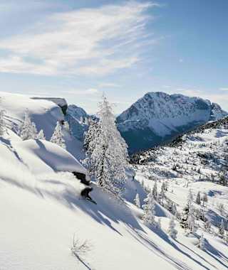 Powder-Abfahrt am Nassfeld