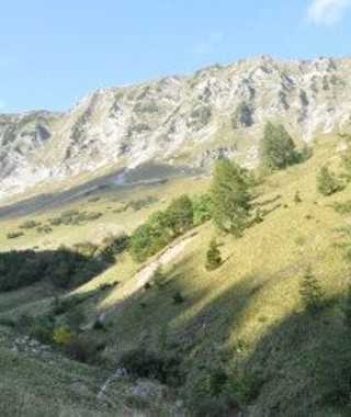 Auf der Moosenalm werde Nature-Watch-Touren vom Naturpark Karwendel angeboten.