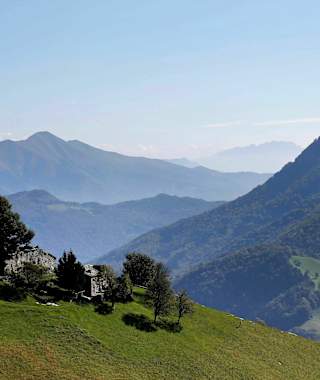Der Monte Generoso beheimatet gleich zehn alte Nevère.