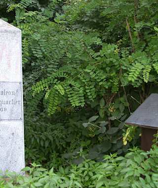 Napoleon-Gedenkstein am Wegesrand