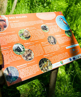 Infotafel zu den Tieren des Waldes am Themenweg Haslau.