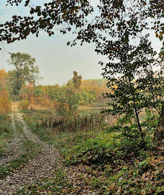 Die Wanderwege sind mit dem Hinweisschild "Donau" markiert.