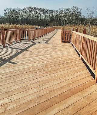 Der Josefsteg am Naturlehrpfad Obere Lobau