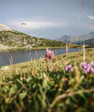 Oberhütte am See, Blick Richtung Oberhüttensattel