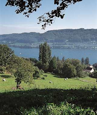 Oberhalb von Katterhorn ergibt sich eine herrliche Aussicht über den fjordartigen Untersee.
