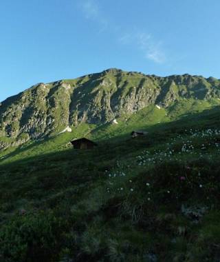 Die Almböden werden auch heute noch extensiv bewirtschaftet.