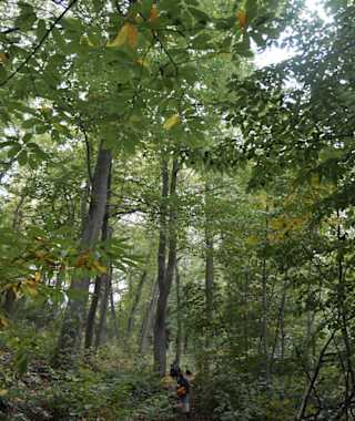Unterwegs um den Opel-Zoo