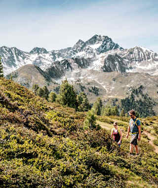 Am Weg zum Faltegartenköpfl