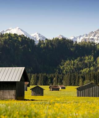 Über die Ötschwiesen geht es gemütlich ins Stillachtal.
