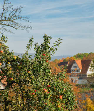 Beim Freilichtmuseum von Beuren