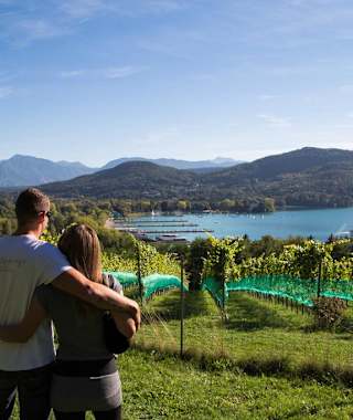 Klagenfurter Weinberg