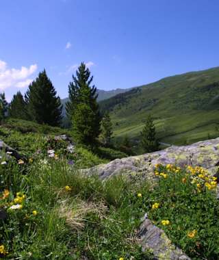 Panorama Flüela Schwarzhorn