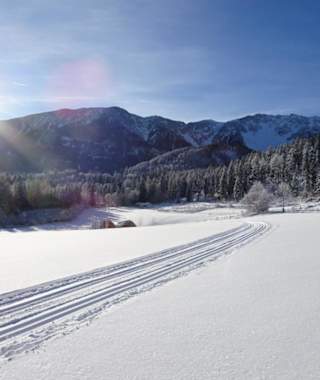 Panoramaloipe Puchberg