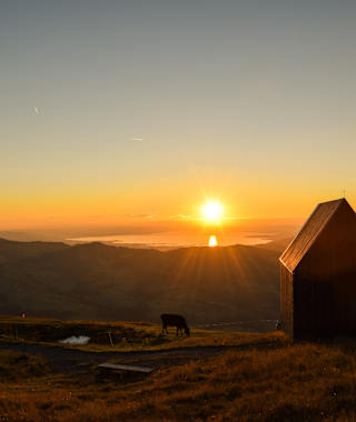 Vordere Niedere mit Blick auf den Bodensee
