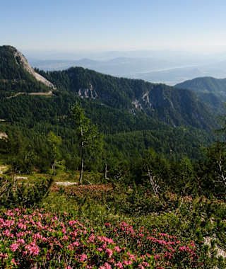 Auf dem Weg zum Mittagskogel