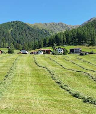 Jenisberg mit Silage