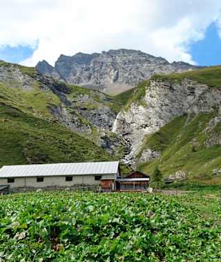 Alp Foppa