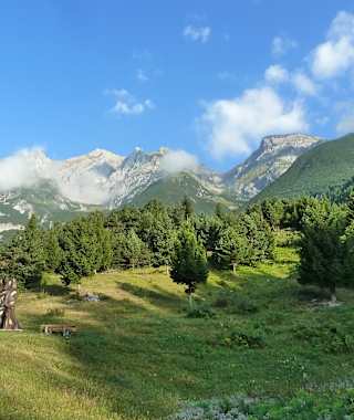 Im Unteren Teil führt der Anstieg zur Augsburger Hütte über schöne Weidefläche.