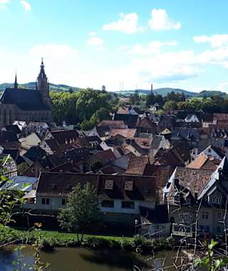 Ausblick auf Meisenheim