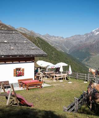 Waldneralm im Ahrntal