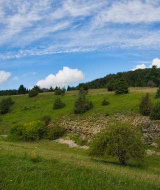 Die Landschaft um Pfronstetten