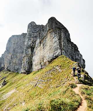 Der Gipfel des Tomlishorn