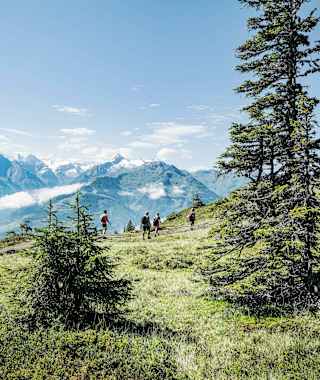 Am „Pinzgauer Spaziergang“ mit herrlicher Aussicht in den Nationalpark Hohe Tauern