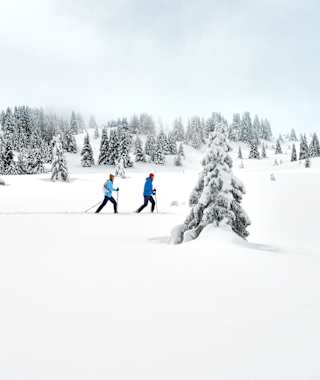 Tief verschneit am Plamort