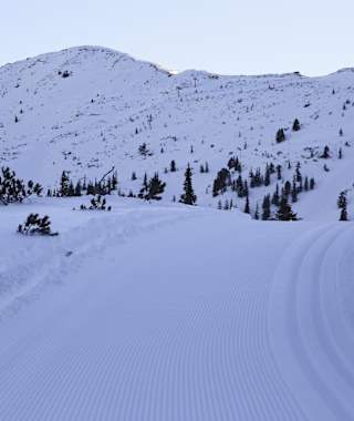 Die Höhenloipe auf der Planneralm in der Region Schladming-Dachstein am frühen Morgen.